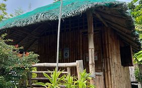 Sharky Hostel Oslob